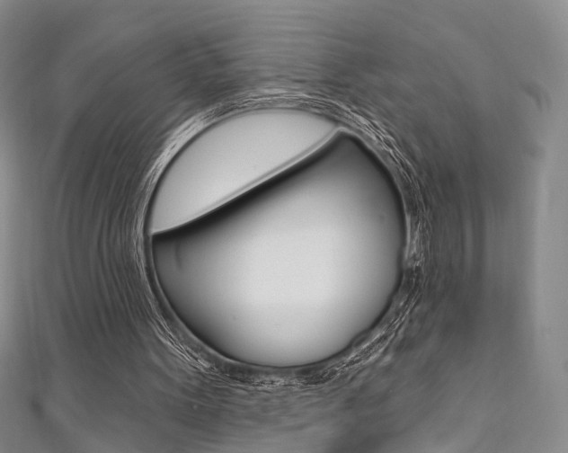 X0000111360099200907101005