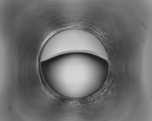 X0000111360100200907101005