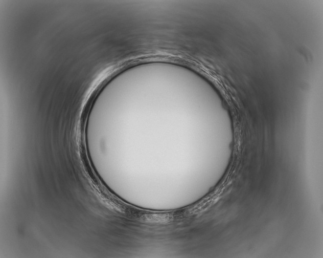 X0000111360102200907101005
