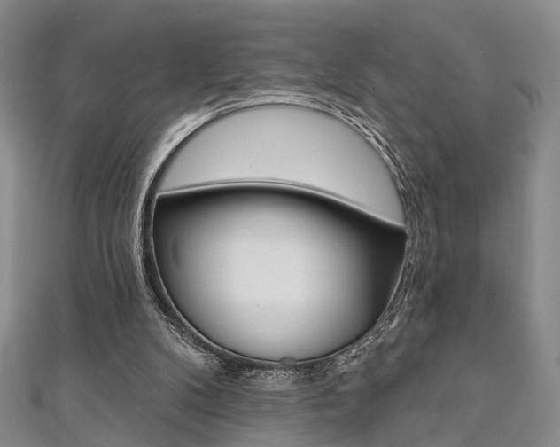 X0000111360104200907101005