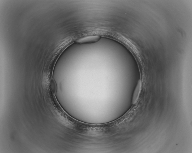 X0000111360105200907101005