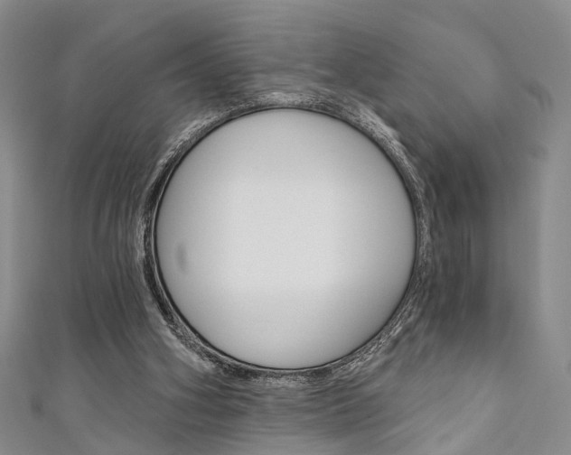 X0000111360106200907101005