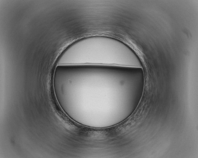 X0000111360107200907101005