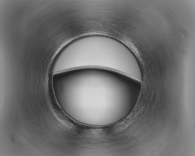 X0000111360108200907101005