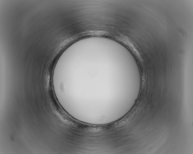X0000111360110200907101005