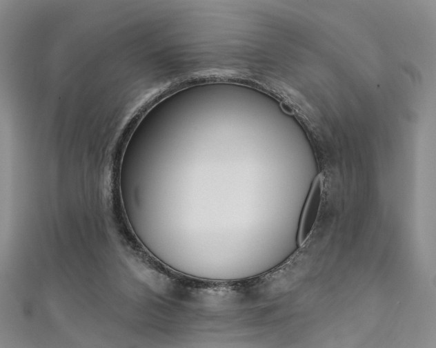 X0000111360112200907101005