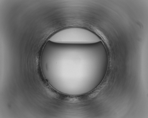 X0000111360113200907101005