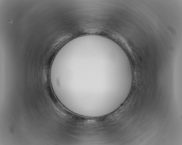 X0000111360114200907101005