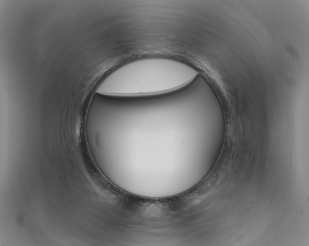 X0000111360115200907101005