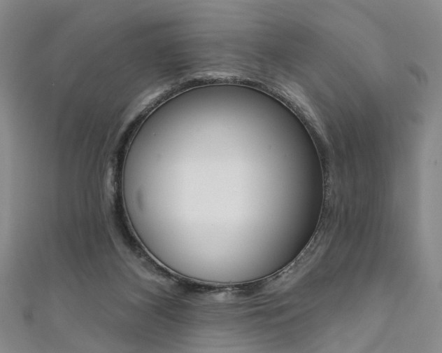 X0000111360116200907101005