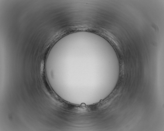 X0000111360118200907101004