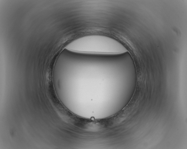 X0000111360119200907101004