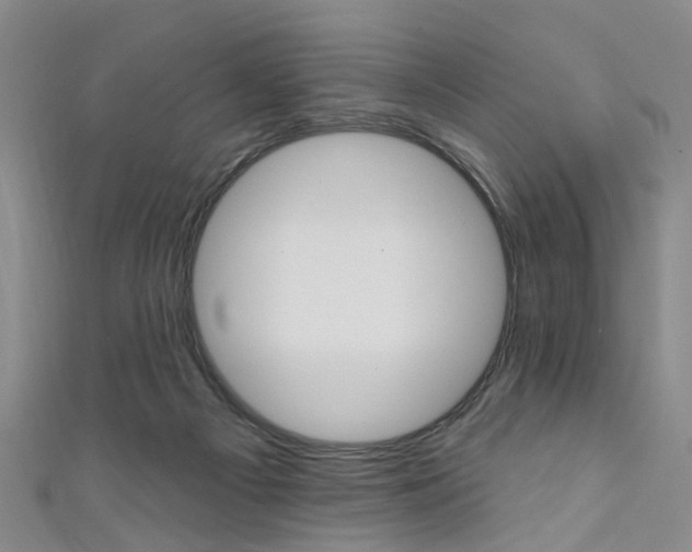 X0000111360121200907101004
