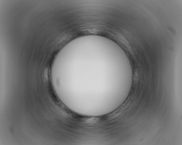 X0000111360122200907101004