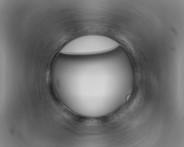 X0000111360123200907101004