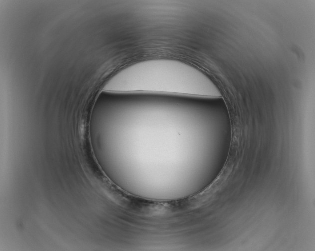 X0000111360124200907101004