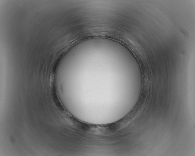 X0000111360125200907101004