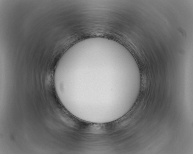 X0000111360126200907101004