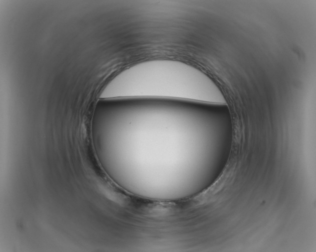 X0000111360128200907101004