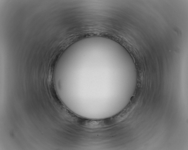 X0000111360129200907101004