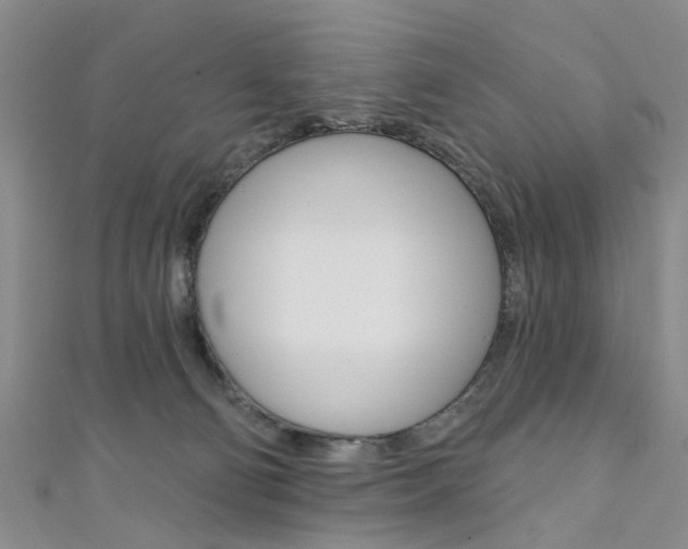 X0000111360130200907101004