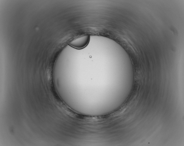 X0000111360131200907101004
