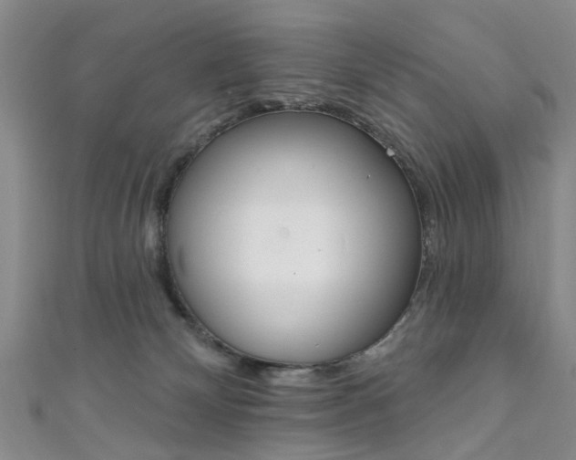 X0000111360132200907101004