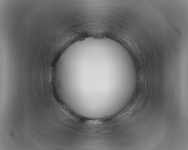 X0000111360133200907101004