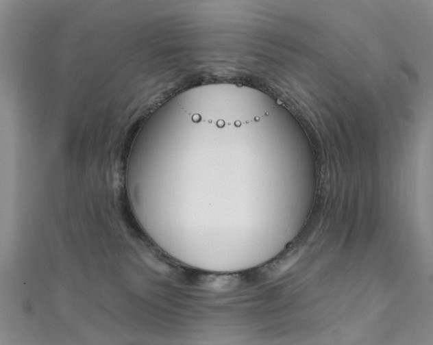 X0000111360135200907101004