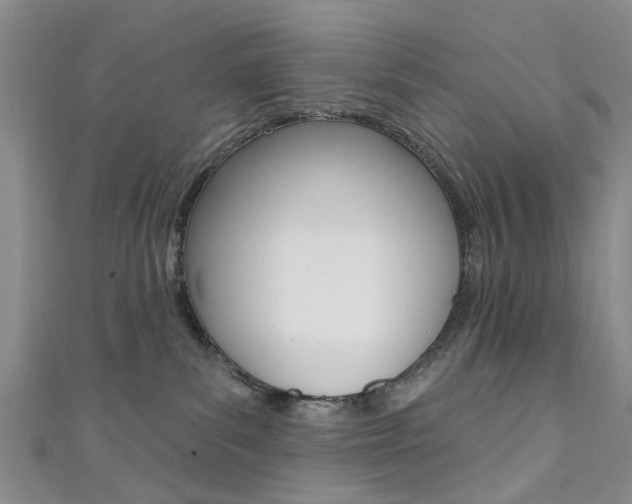 X0000111360139200907101004