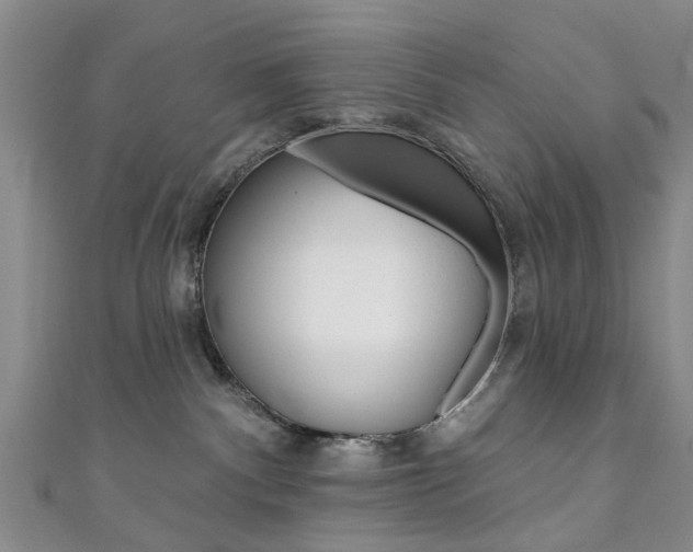 X0000111360140200907101004