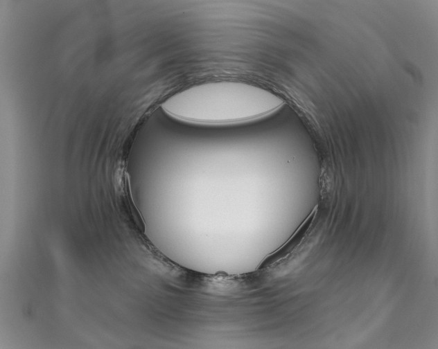 X0000111360141200907101004