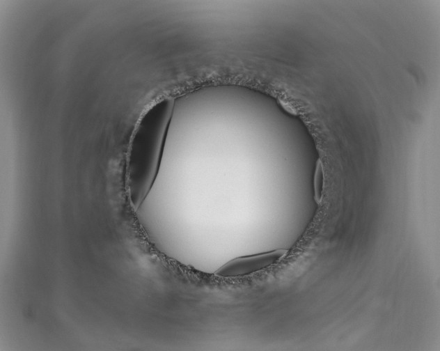 X0000111360144200907101004