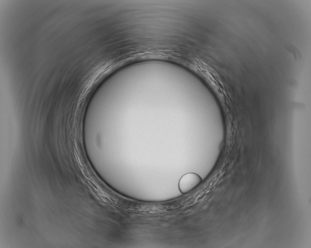 X0000111360145200907101004