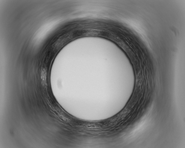 X0000111360146200907101004