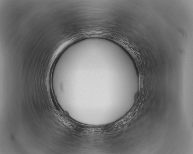 X0000111360147200907101004