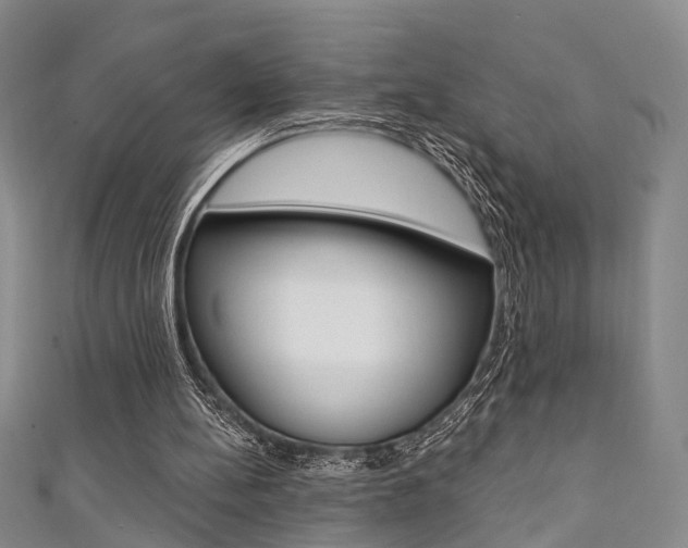 X0000111360148200907101004