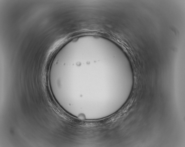 X0000111360149200907101004