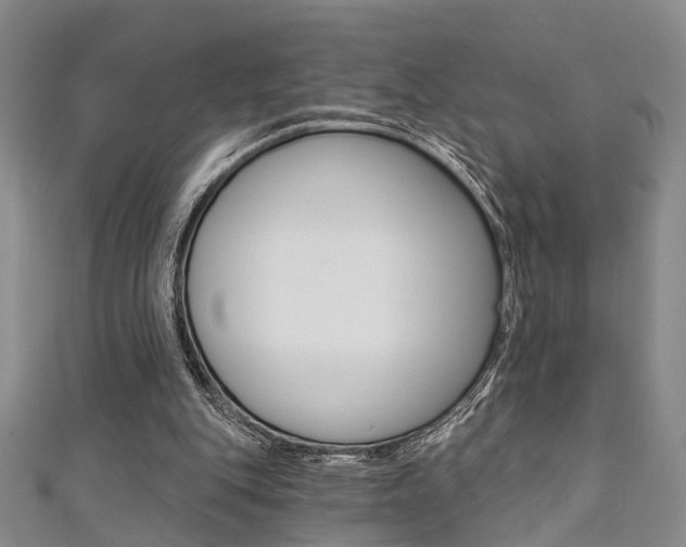 X0000111360151200907101004