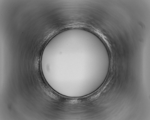 X0000111360153200907101004