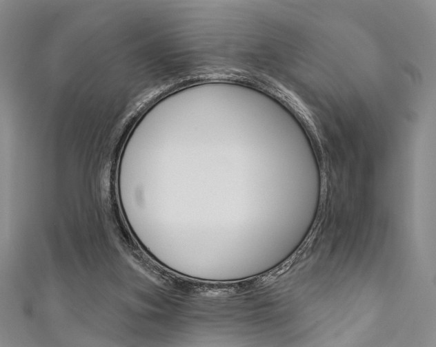 X0000111360155200907101004