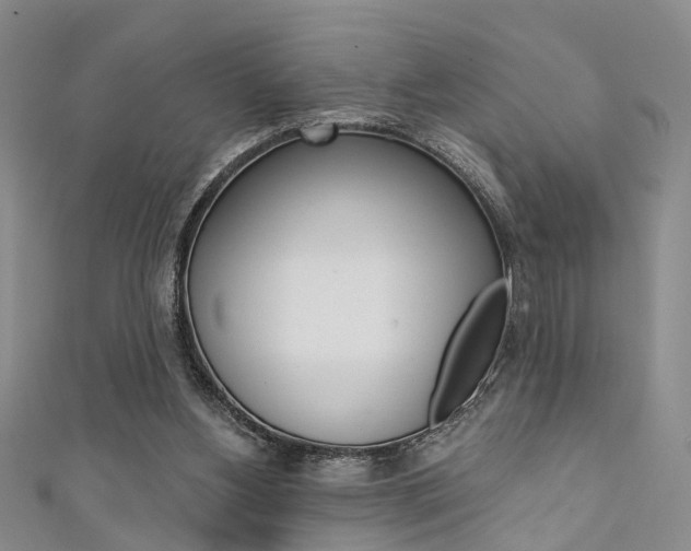 X0000111360156200907101004