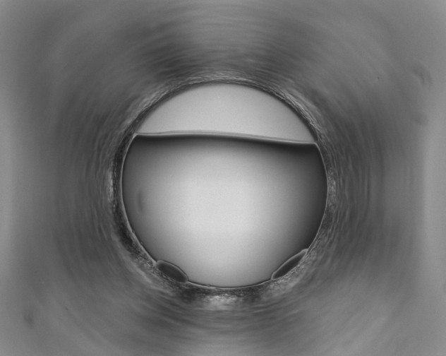 X0000111360158200907101004