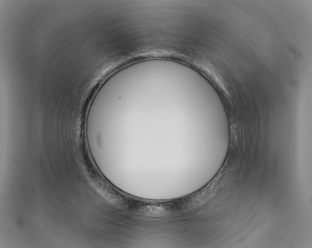 X0000111360159200907101004