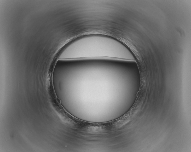 X0000111360160200907101004