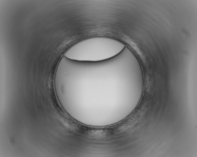 X0000111360161200907101004