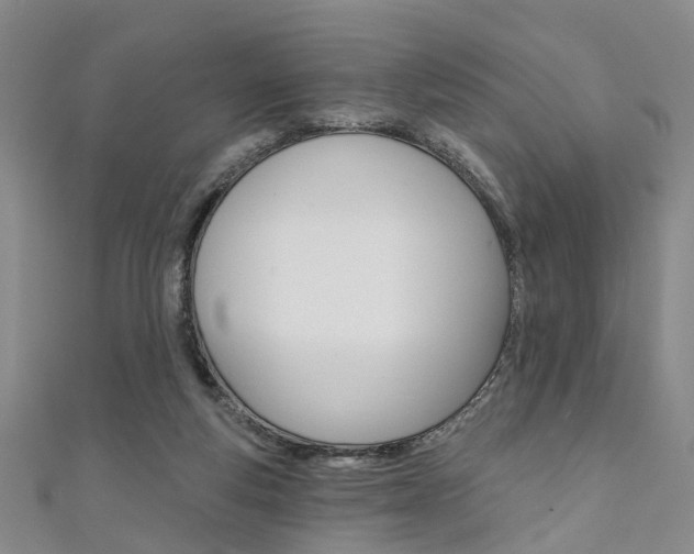 X0000111360163200907101004