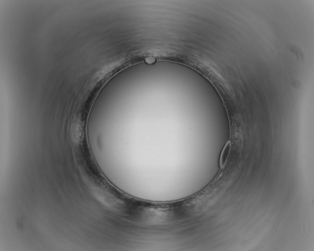 X0000111360164200907101004