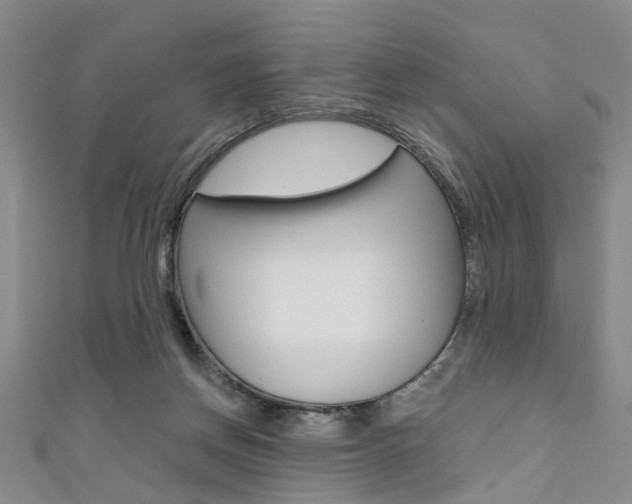 X0000111360166200907101004