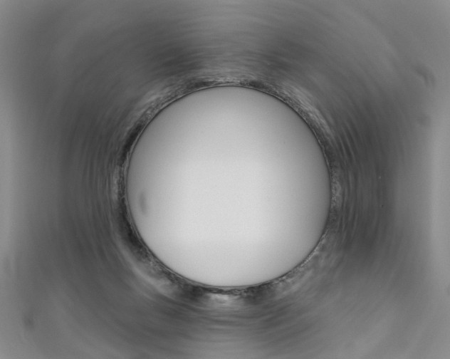 X0000111360167200907101004